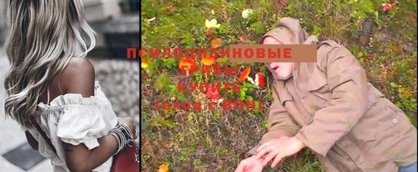 ГАЛЛЮЦИНОГЕННЫЕ ГРИБЫ Абаза