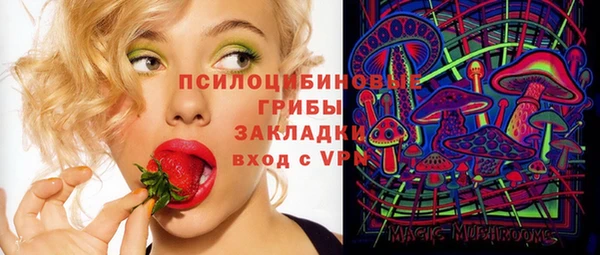 ГАЛЛЮЦИНОГЕННЫЕ ГРИБЫ Абаза
