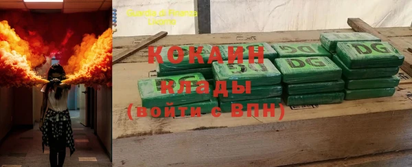 ГАЛЛЮЦИНОГЕННЫЕ ГРИБЫ Абаза