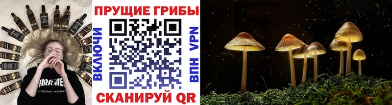 Псилоцибиновые грибы мухоморы  закладки  Серпухов 